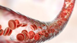 Vedci vytvorili umelú krv v prášku