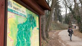 Poľovníci kontra rekreanti. Podarí sa zladiť ich záujmy?