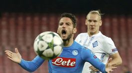 Belgický altruista ťaží z výnimočnosti slovenskej šelmy