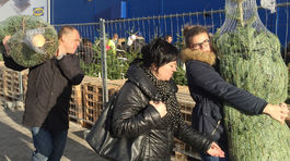 Viete správne prevážať vianočný stromček?