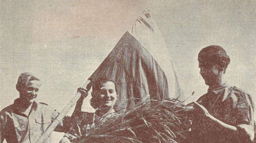 Pre ryžu bol najúspešnejší rok 1950