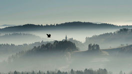 V meste Rogaška Slatina postavia najvyššiu vyhliadkovú vežu v Slovinsku
