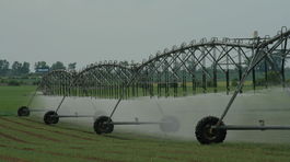 Extrémne výkyvy počasia ohrozujú výrobu potravín 