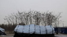 Brusel kritizuje podmienky utečencov v gréckych táboroch 