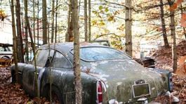 Unikátny nález: Vzácny Aston obrástol les. Má cenu státisícov