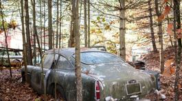 Aston Martin DB4 - nález v lese
