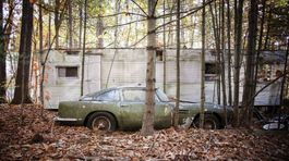 Aston Martin DB4 - nález v lese