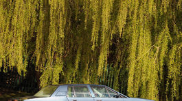 Aston Martin Lagonda - 40 rokov
