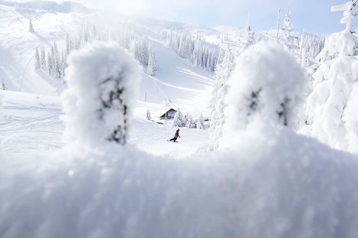 sneh, zima, lyžovanie, svah, lyžiar, Bosna