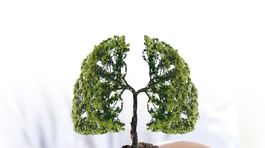 Chronická obštrukčná choroba pľúc: Nepodceňujte ťažkosti s dýchaním