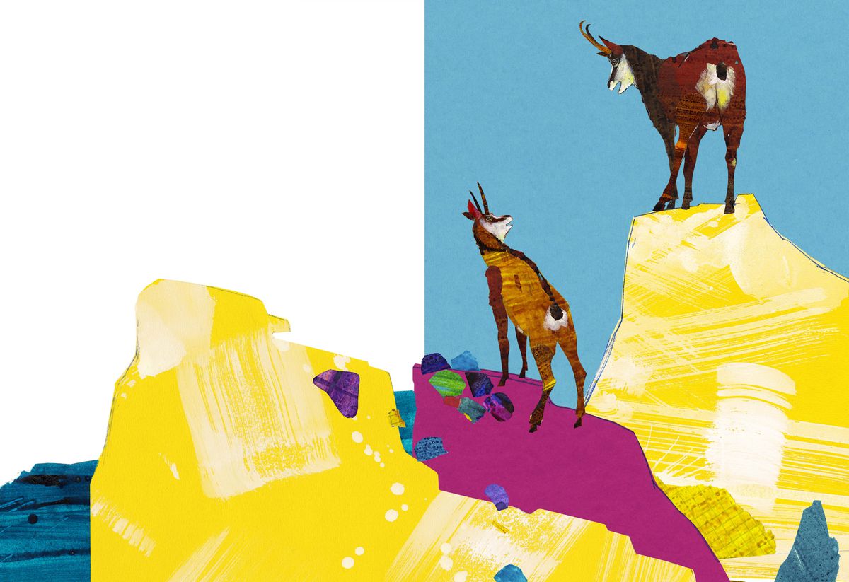 Ilustrácia od Ľuboslava Paľa z knihy Kamzíkov...