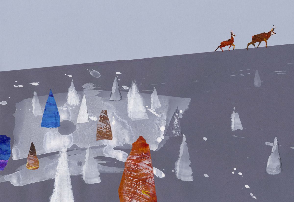 Ilustrácia od Ľuboslava Paľa z knihy Kamzíkov...