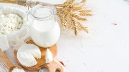 Čerstvé syry sú kráľovskou pochutinou