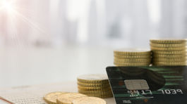 Cestovanie za rakúskym platom