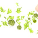 choroba, nadcha, bakterie, virus, chripka