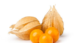 physalis, židovská čerešňa