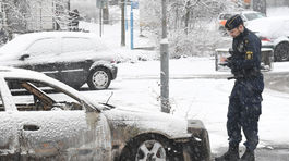 Švédsky expert: Viac migrantov neznamená viac zločinu