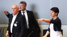 Rozkol v AfD, Frauke Petry vynadala kolegom priamo pred novinármi