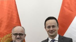 Darmanovič: Čierna Hora svoju nezávislosť neľutuje, hoci je malý štát