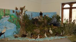 Výstava Druhy európskeho významu: Slovensko je rôznorodá krajina 