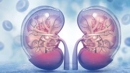 Dôležité aminokyseliny: Bez nich nie je život