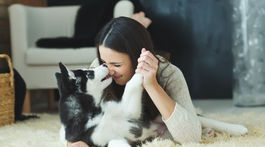 Jeseň, blato, špina v uliciach... Ako často kúpať vášho psíka?