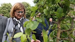 Farmári nie sú pánmi na svojom vlastnom trhu