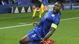 Keď inteligentný medveď prehovorí, všetci zmĺknu