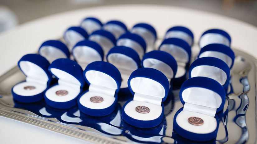 Bronzové ocenenia za absolvovanie programu...