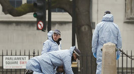 Deväť z 11 ľudí zatknutých po útoku v Londýne prepustili