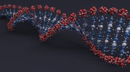 Za väčšinu prípadov rakoviny môže chyba v preklade DNA