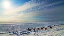 Američanom sa kúpa Aljašky od Ruska pred 150 rokmi vyplatila. Rusi teraz banujú