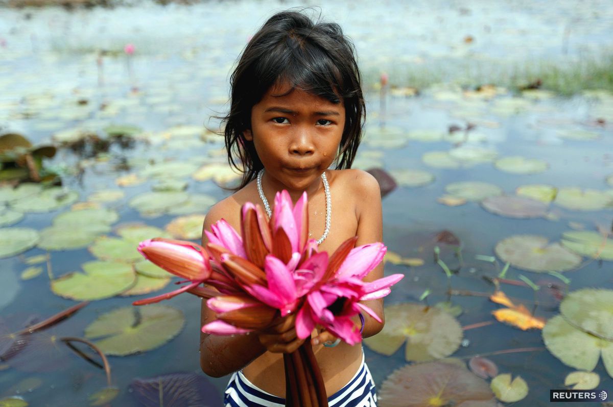 dieťa, Kambodža, lekno