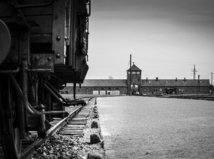 kolaje, koncentračný tábor, auschwitz