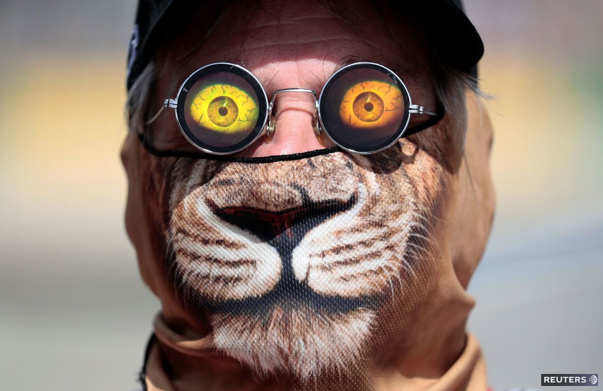 maska, 3D, lev, zviera, oči, okuliare, Formula jeden - F1