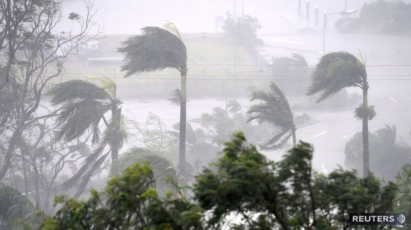 Debbie, cyklón, vietor, dážď, palmy