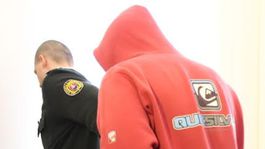 B. Bystrica: Za sedem trestných činov väzenie na osem rokov