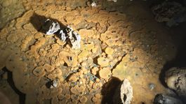 Demänovská jaskyňa slobody