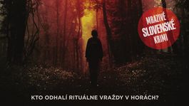 Slovenské krimi má ďalšiu výraznú autorku – Katarínu Holetzovú