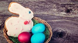 Sladké zajačiky patria k Veľkej noci