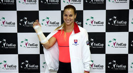 V ruke neudržala pohár. Cibulkovú odstavilo zranenie