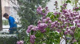 Mráz si už podáva úrodu, nízke teploty budú aj cez víkend