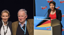 Nacionalistov v Nemecku povedú do volieb dve tváre