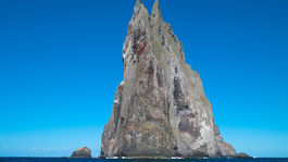 Veža uprostred mora je domovom najväčšieho hmyzu na svete