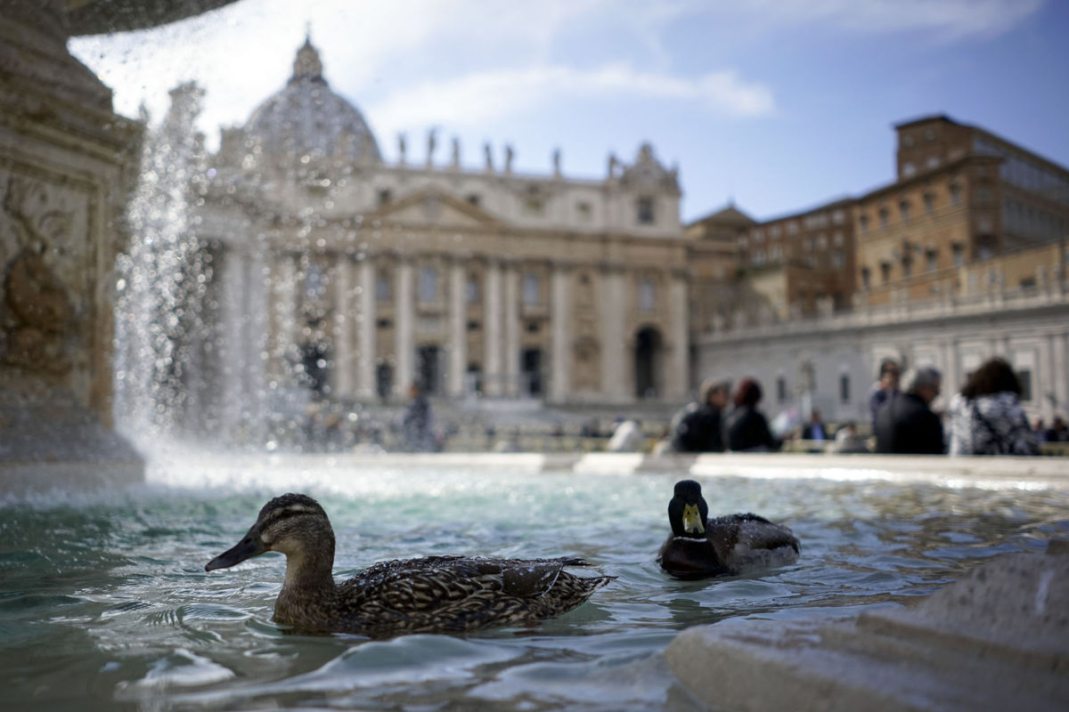 kačky, vatikán, Chrám sv. Petra, fontána