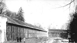 V Dubnici mali v 18. storočí vlastné pomaranče