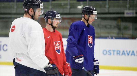 Tomáš tatar, richard pánik, andrej meszároš,...