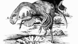 Z obrovských vajec sa vykľul nový dinosaurus