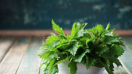 Zelená či červená? Obe farby sú top voľbou jari na tanieri