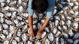 Juhokórejská pobrežná stráž vypálila na čínskych rybárov varovné výstrely, Peking vyjadril znepokojenie